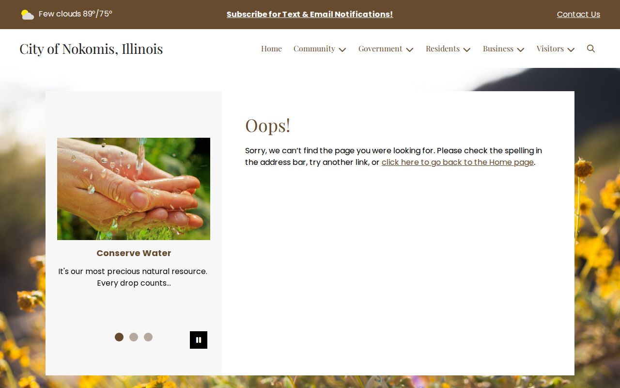 Nokomis community directory for criminal record office contacts